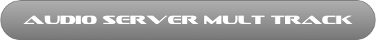 audio server mult track