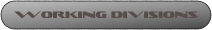 Working Divisions